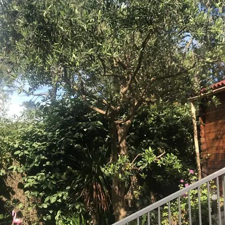 Апартаменти Des Salins Parc Des Salins St Tropez Сен-Тропе