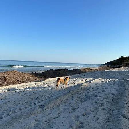 Des Salins Parc Des Salins St Tropez *
