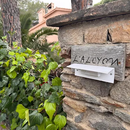 L'alcyon - Pres De La - Parc Des Sallins *